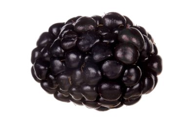 olgun böğürtlen beyaz arkaplanda izole