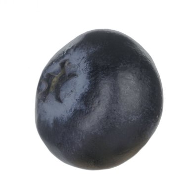 Beyaz arka planda izole yaban mersini yakın çekim 