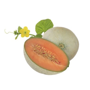 Beyaz arka plan üzerinde izole kavun closeup