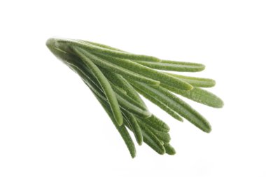 Beyaz arka planda izole biberiye closeup