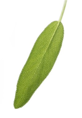 Yeşil yaprak üzerinde beyaz izole closeup 