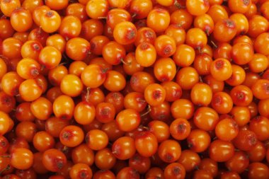 Ham olgun sandthorn meyveler, gıda arka plan.