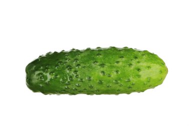 Ham olgun yeşil salatalık beyaz arka plan üzerinde izole