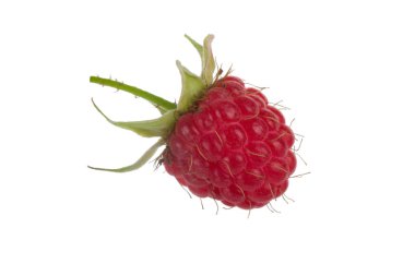 Beyaz arka plan üzerinde izole Olgun tatlı ahududu