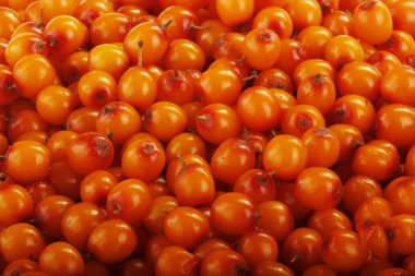 Ham olgun sandthorn meyveler, gıda arka plan.