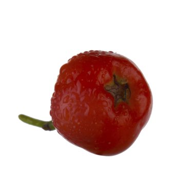 Beyaz arkaplanda kırmızı Ashberry izole edildi