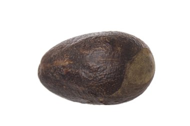 Beyaz arka planda izole edilmiş somun ların yakınçekimi 