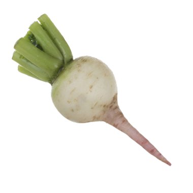 Beyaz arka planda izole raphanus closeup 