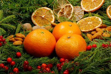 Çam dalları, meyve ve baharat yapılmış Advent kompozisyon.