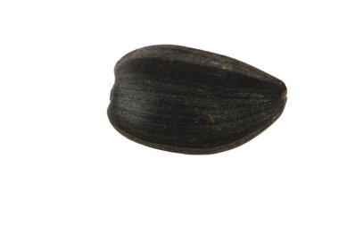 Beyaz arka planda izole ayçiçeği tohumu yakın çekim 