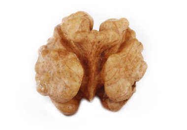 Beyaz arka planda izole edilmiş cevizin yakın çekim