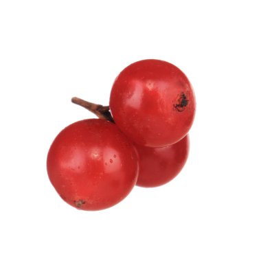 Beyaz arka plan üzerinde izole guelder closeup