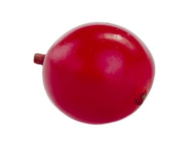 Beyaz arka plan üzerinde izole guelder closeup