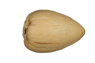 Beyaz arka planda izole edilmiş somun ların yakınçekimi 