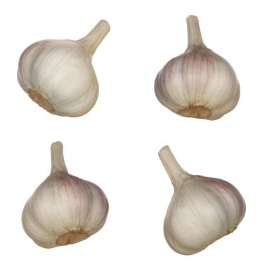 Beyaz arka planda izole sarımsak Closeup çekim 