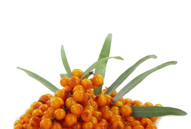 Beyaz arka plan üzerinde izole olgun sandthorn çilek