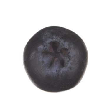 Beyaz arka planda izole yaban mersini yakın çekim 