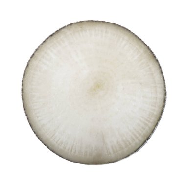 Beyaz arka planda izole raphanus closeup 