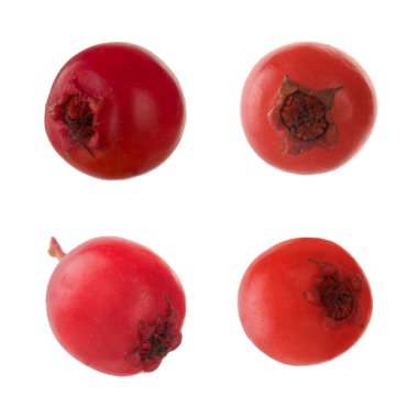 Beyaz arka plan üzerinde izole haw-berry closeup 