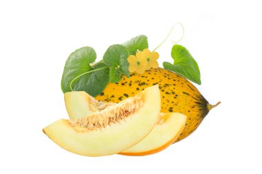 Beyaz arka plan üzerinde izole kavun closeup