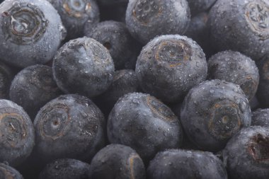 Arka plan için yaban mersini kase Closeup