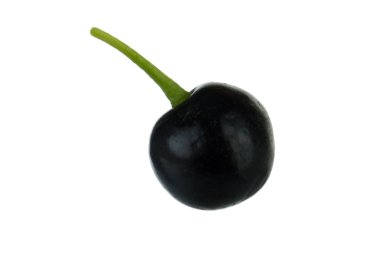 Beyaz arka planda izole edilmiş siyah frenk üzümünün yakın çekimi 