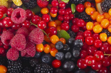 Olgun taze çilek çeşitli