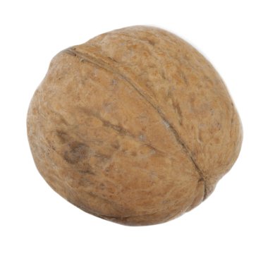 Beyaz arka planda izole edilmiş cevizin yakın çekim