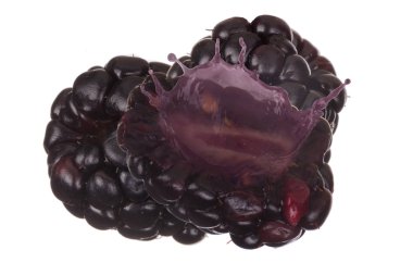 Beyaz arka plan üzerinde izole olgun böğürtlen