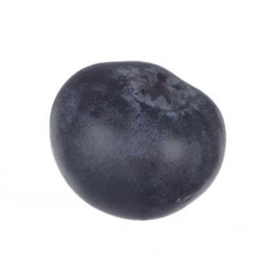 Beyaz arka planda izole yaban mersini yakın çekim 