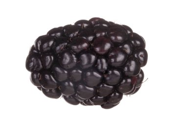 olgun böğürtlen beyaz arkaplanda izole