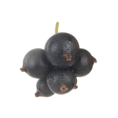 Beyaz arka planda yalıtılmış siyah kuş üzümünün yakınçekimi 