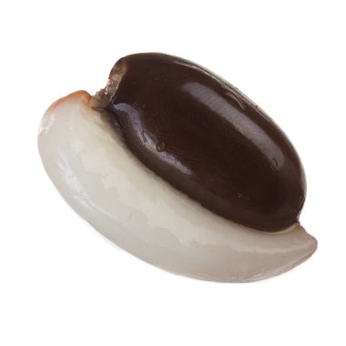 Lychee closeup, tropikal meyve çekim