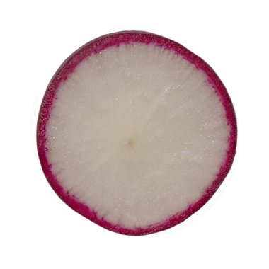 Beyaz arkaplanda taze turp izole edildi