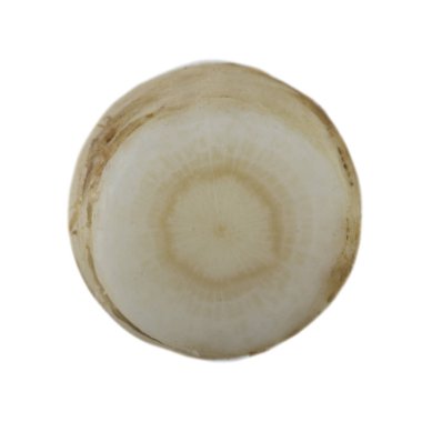 Beyaz arka plan üzerinde izole aromatik rezene