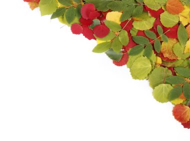 Sonbahar yapraklarından yapılmış renkli çerçeve