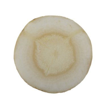 Beyaz arka plan üzerinde izole aromatik rezene