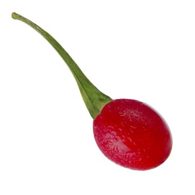 Kırmızı biber biber beyaz arka plan üzerinde izole