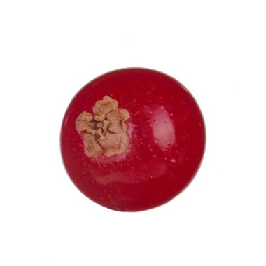 Beyaz arka planda izole edilmiş kırmızı frenk üzümünün yakın çekimi 