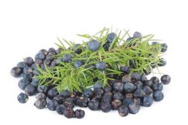 Beyaz arka plan üzerinde izole ardıç meyveleri