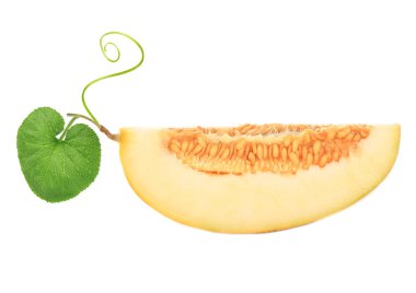 Beyaz arka plan üzerinde izole kavun closeup