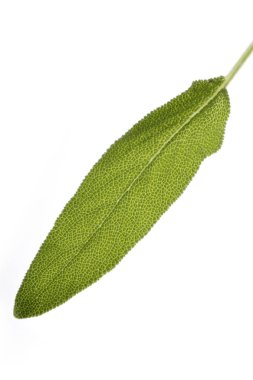 Yeşil yaprak üzerinde beyaz izole closeup 