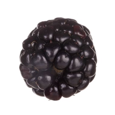 olgun böğürtlen beyaz arkaplanda izole