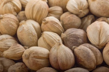 Arka plan için kakule deseni yakın çekim