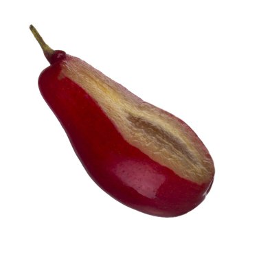 Cornel dut üzerinde izole beyaz arka plan