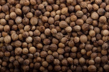 Kişniş baharatı ile kase yakın çekim