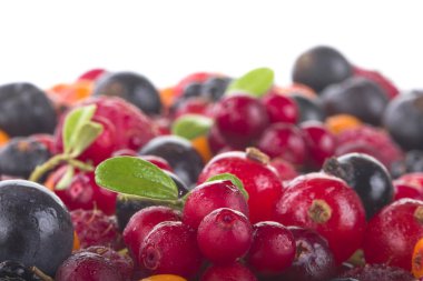 Çeşitli taze çilek, sağlıklı yeme.