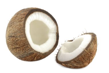 Hindistan cevizi beyaz zemin üzerine izole kesmek