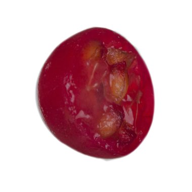 Beyaz arka planda izole edilmiş kırmızı frenk üzümünün yakın çekimi 