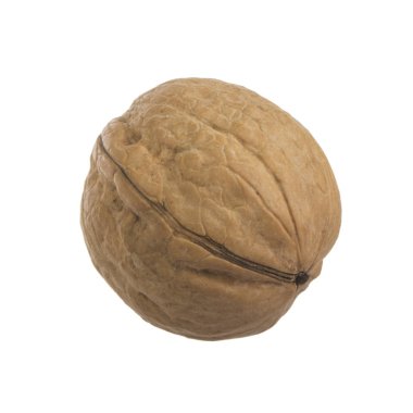 Beyaz arka planda izole edilmiş cevizin yakın çekim